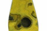Very Vibrant, Free-Standing Polished Bumblebee Jasper #373345-1